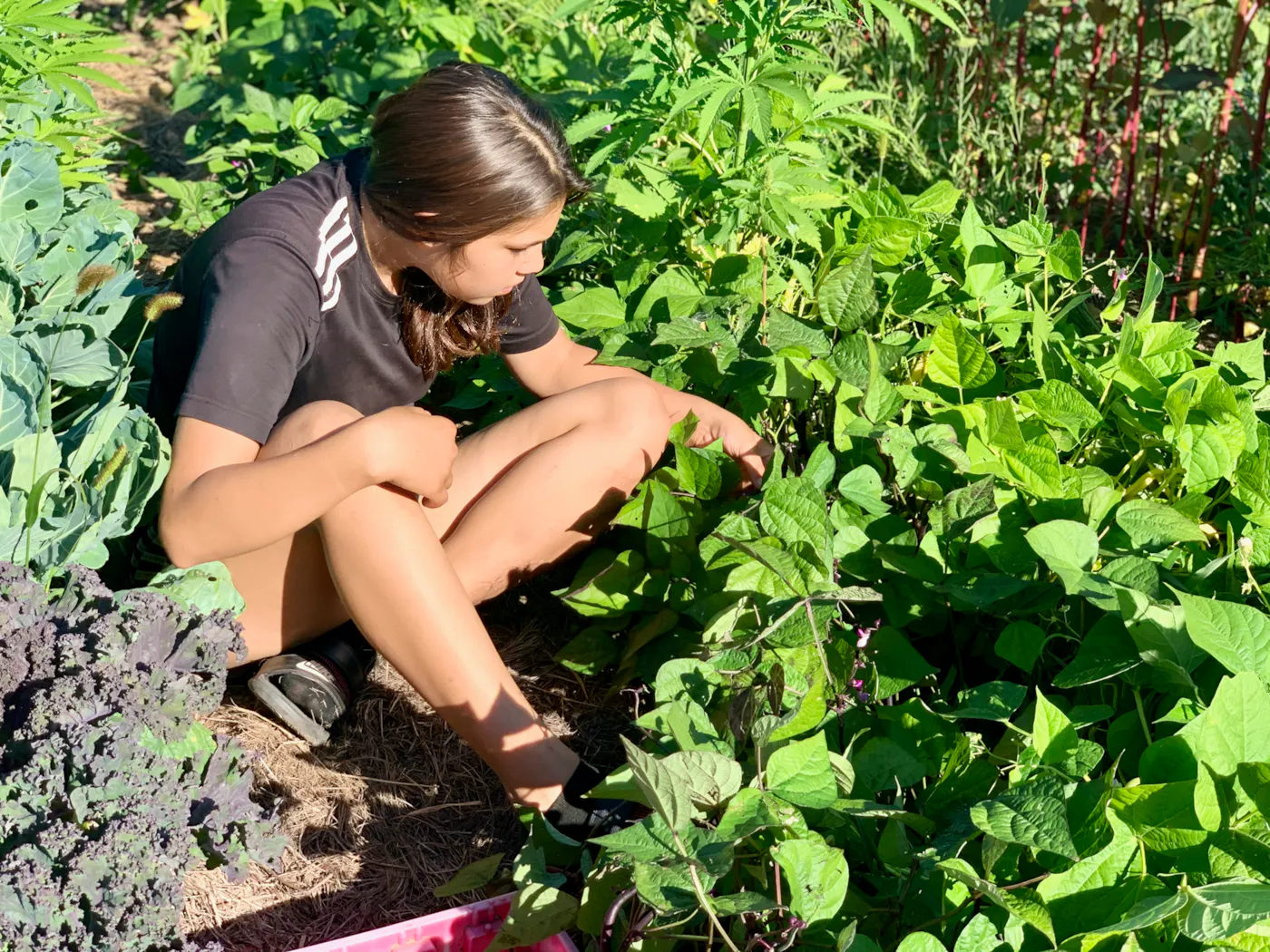 Restoring a Hemp Fiber Economy Rooted in Northern Plains and Great Lakes Indigenous Nations